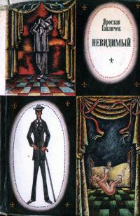 Обложка книги «Невидимый»