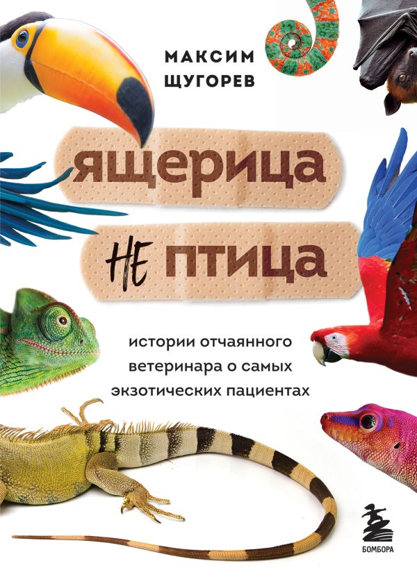 Обложка книги «Ящерица не птица. Истории отчаянного ветеринара о самых экзотических пациентах»