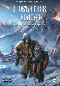 Обложка книги «В объятиях холода»