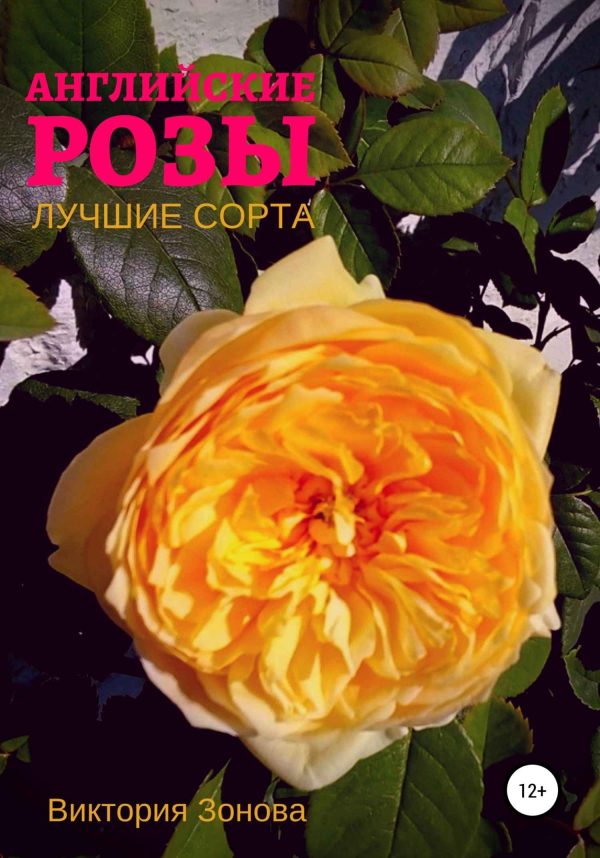 Обложка книги «Английские розы. Лучшие сорта»