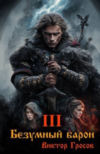 Обложка книги «Безумный барон 3»