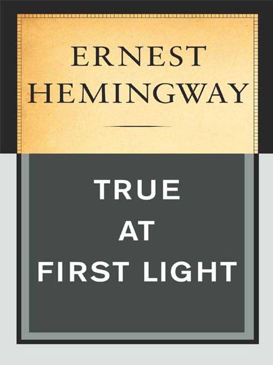 Обложка книги «True at First Light»