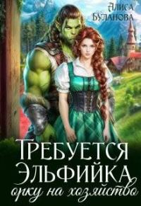 Обложка книги «Требуется эльфийка орку на хозяйство»