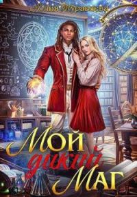 Обложка книги «Мой дикий маг»