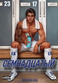 Обложка книги «Семнадцатый»