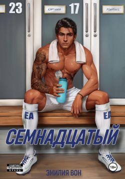 Обложка книги «Семнадцатый»