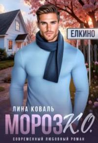 Обложка книги «Мороз.К.О. - мэр Елкино»