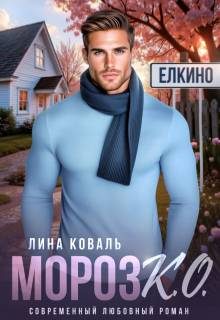 Обложка книги «Мороз.К.О. - мэр Елкино»