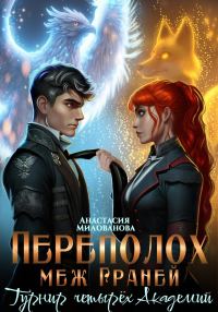Обложка книги «Переполох меж Граней. Турнир четырёх Академий»