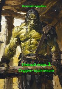 Обложка книги «Студент-практикант»