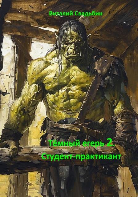 Обложка книги «Студент-практикант»