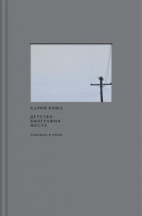 Обложка книги «Детство: биография места»