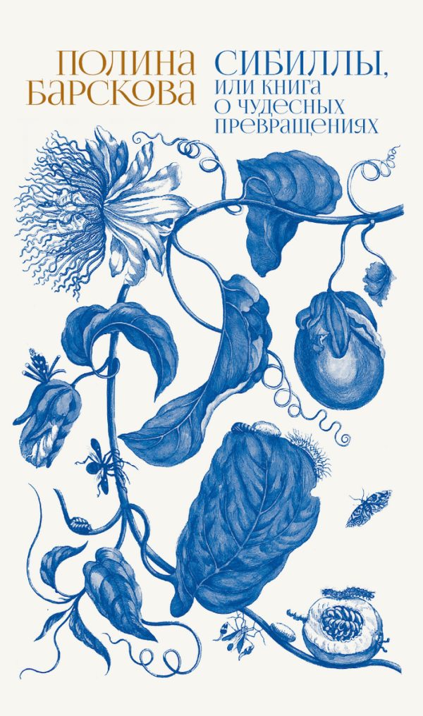 Обложка книги «Сибиллы, или Книга о чудесных превращениях»
