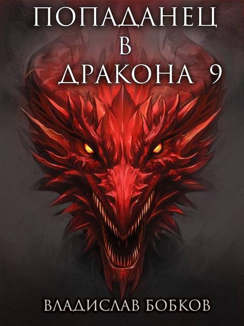 Обложка книги «Попаданец в Дракона 9»