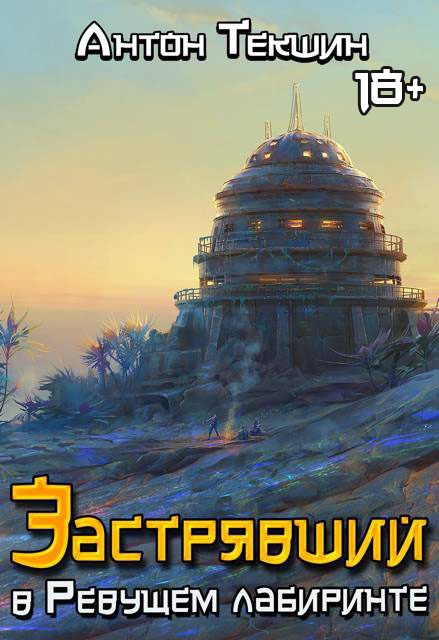 Обложка книги «Застрявший в Ревущем лабиринте»