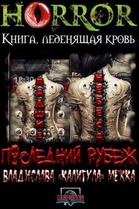 Обложка книги «Падшие Небеса. Последний Рубеж»