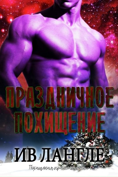 Обложка книги «Праздничное похищение»