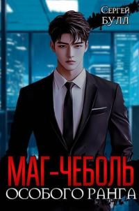 Обложка книги «Маг-чеболь особого ранга»