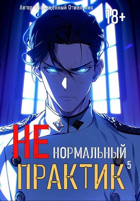 Обложка книги «Ненормальный практик 5»