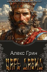 Обложка книги «Царь Давид»