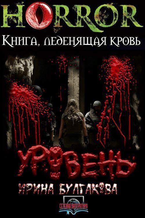 Обложка книги «Уровень»