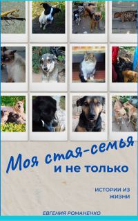 Обложка книги «Моя стая-семья и не только»
