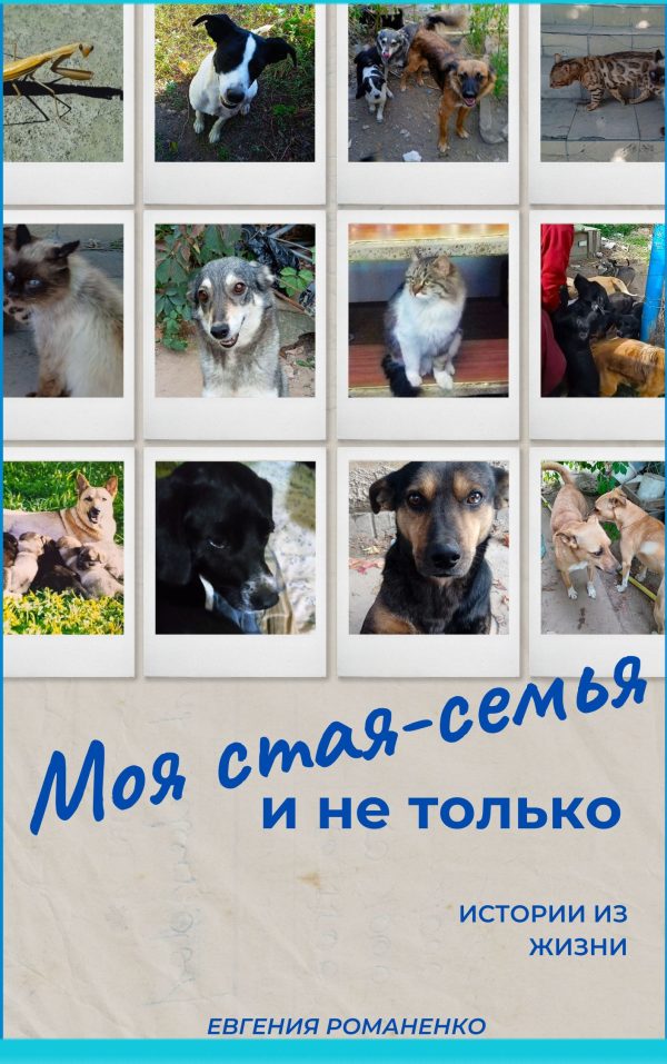 Обложка книги «Моя стая-семья и не только»