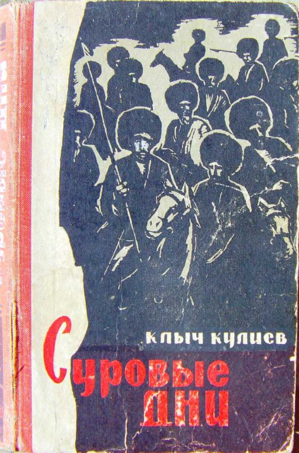 Обложка книги «Суровые дни»