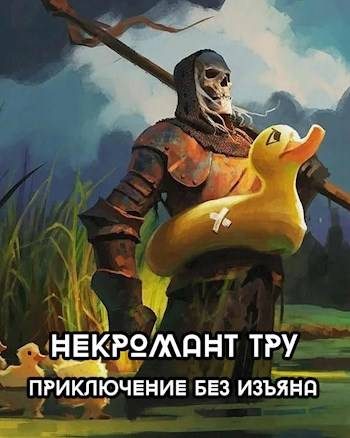 Обложка книги «Некромант Тру - Приключение без изъяна»