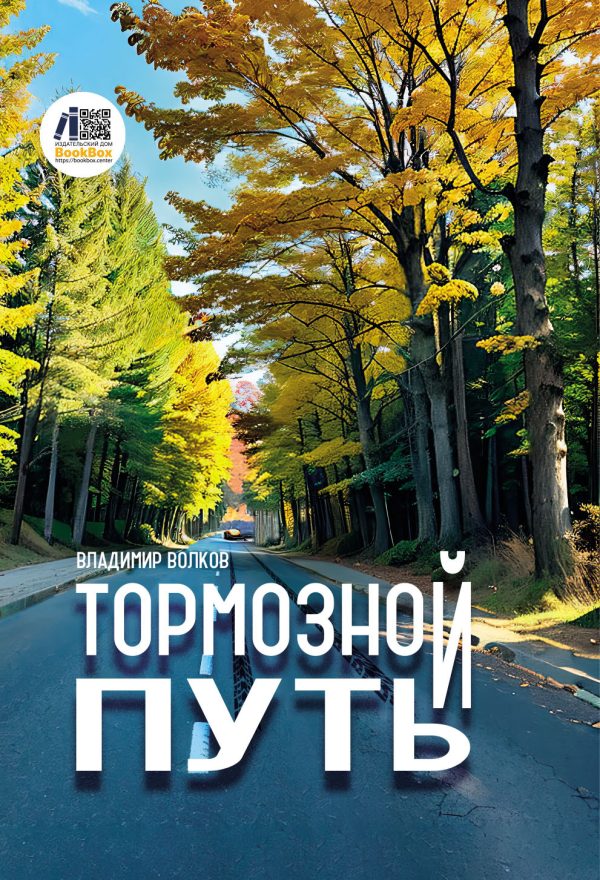 Обложка книги «Тормозной путь»