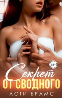 Обложка книги «Секрет от сводного»