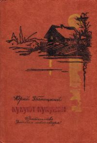 Обложка книги «Кукуют кукушки»