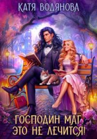 Обложка книги «Господин маг, это не лечится!»