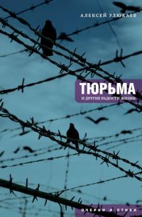 Обложка книги «Тюрьма и другие радости жизни. Очерки и стихи»