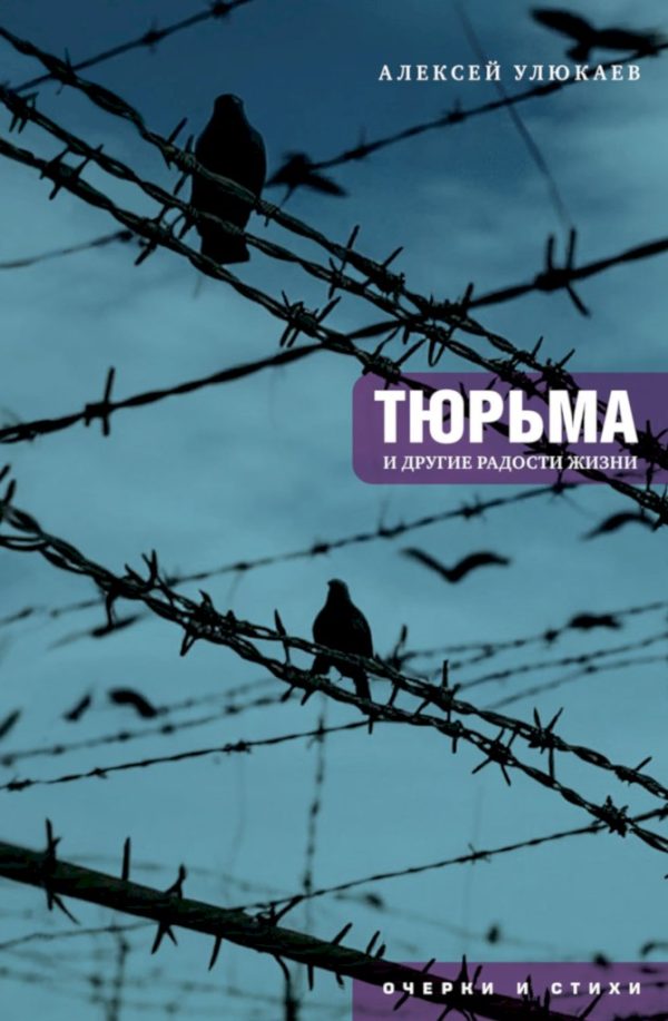 Обложка книги «Тюрьма и другие радости жизни. Очерки и стихи»