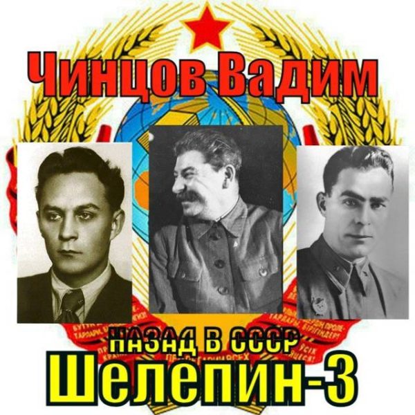 Обложка книги «Назад в СССР. Шелепин 3»