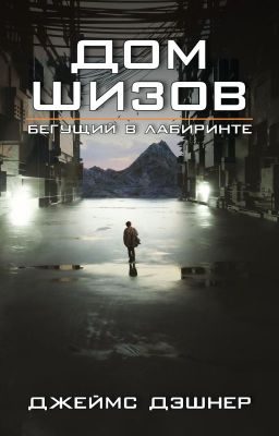 Обложка книги «Дом шизов / Crank Palace»