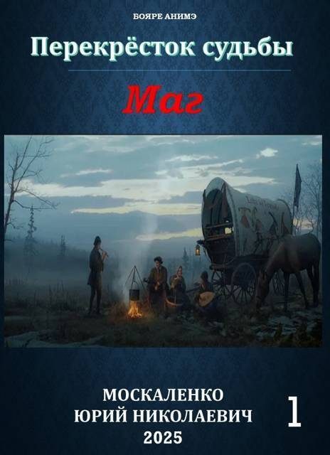 Обложка книги «Перекресток судьбы 2. Маг. Книга 1»