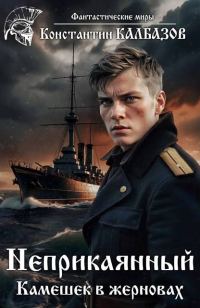 Обложка книги «Камешек в жерновах»