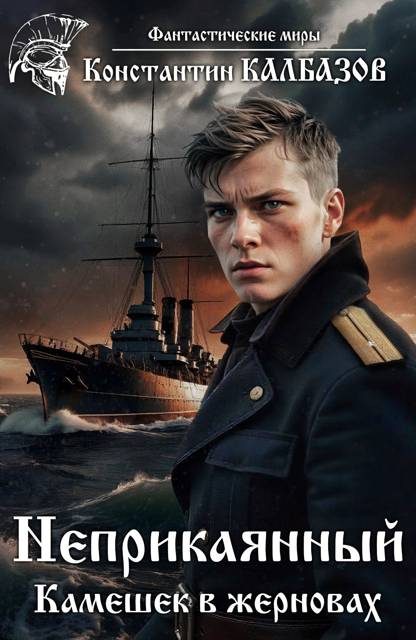 Обложка книги «Камешек в жерновах»