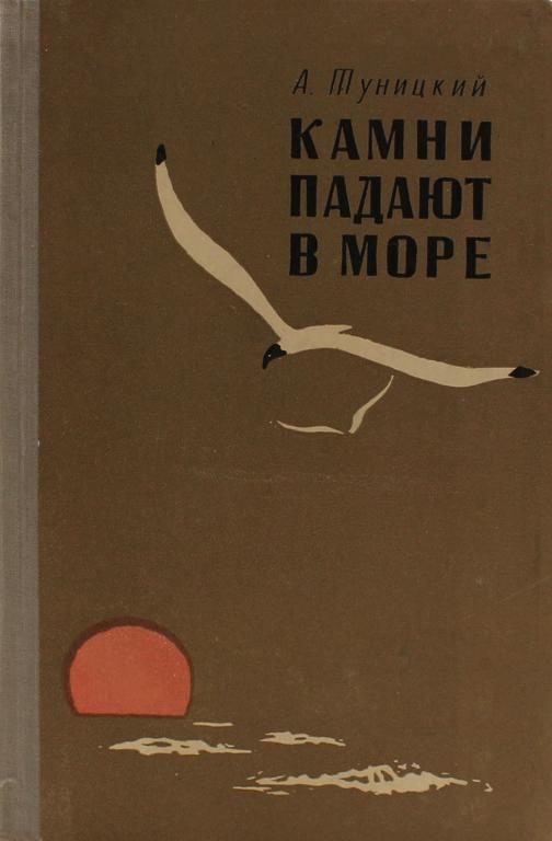 Обложка книги «Камни падают в море»