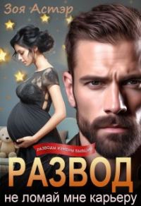 Обложка книги «Развод. Не ломай мне карьеру»