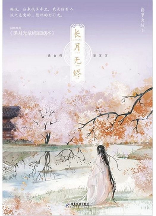 Обложка книги «Светлый пепел луны»