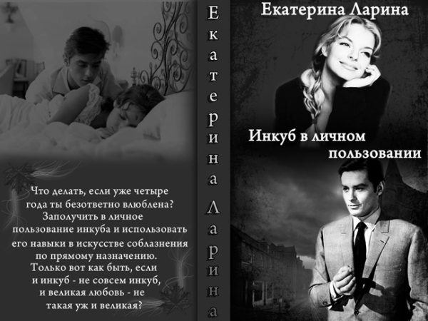 Обложка книги «Инкуб в личном пользовании»