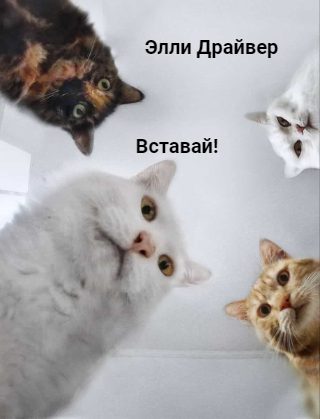 Обложка книги «Вставай!»