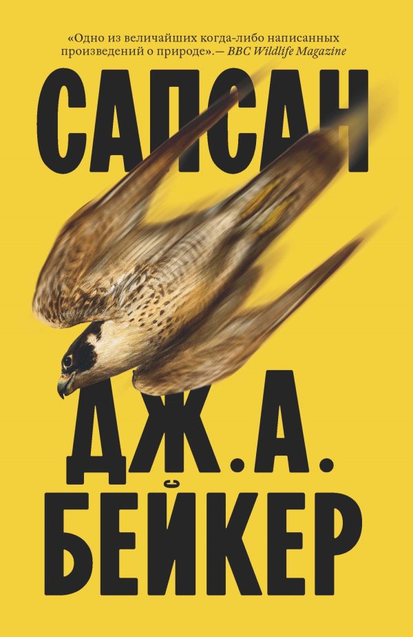 Обложка книги «Сапсан»