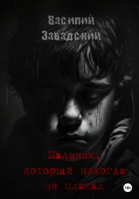 Обложка книги «Мальчик, который никогда не плакал»