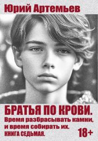 Обложка книги «Время разбрасывать камни, и время собирать их»