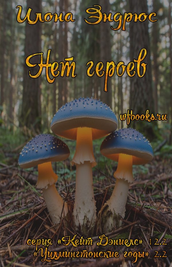 Обложка книги «Нет героев»