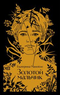 Обложка книги «Золотой мальчик»